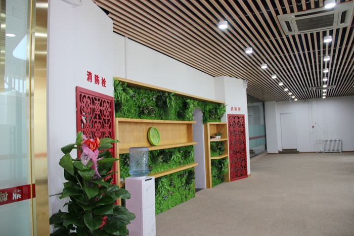 上海鼎誠房產辦公室設計實景-第5張圖片-上海古都建筑設計集團