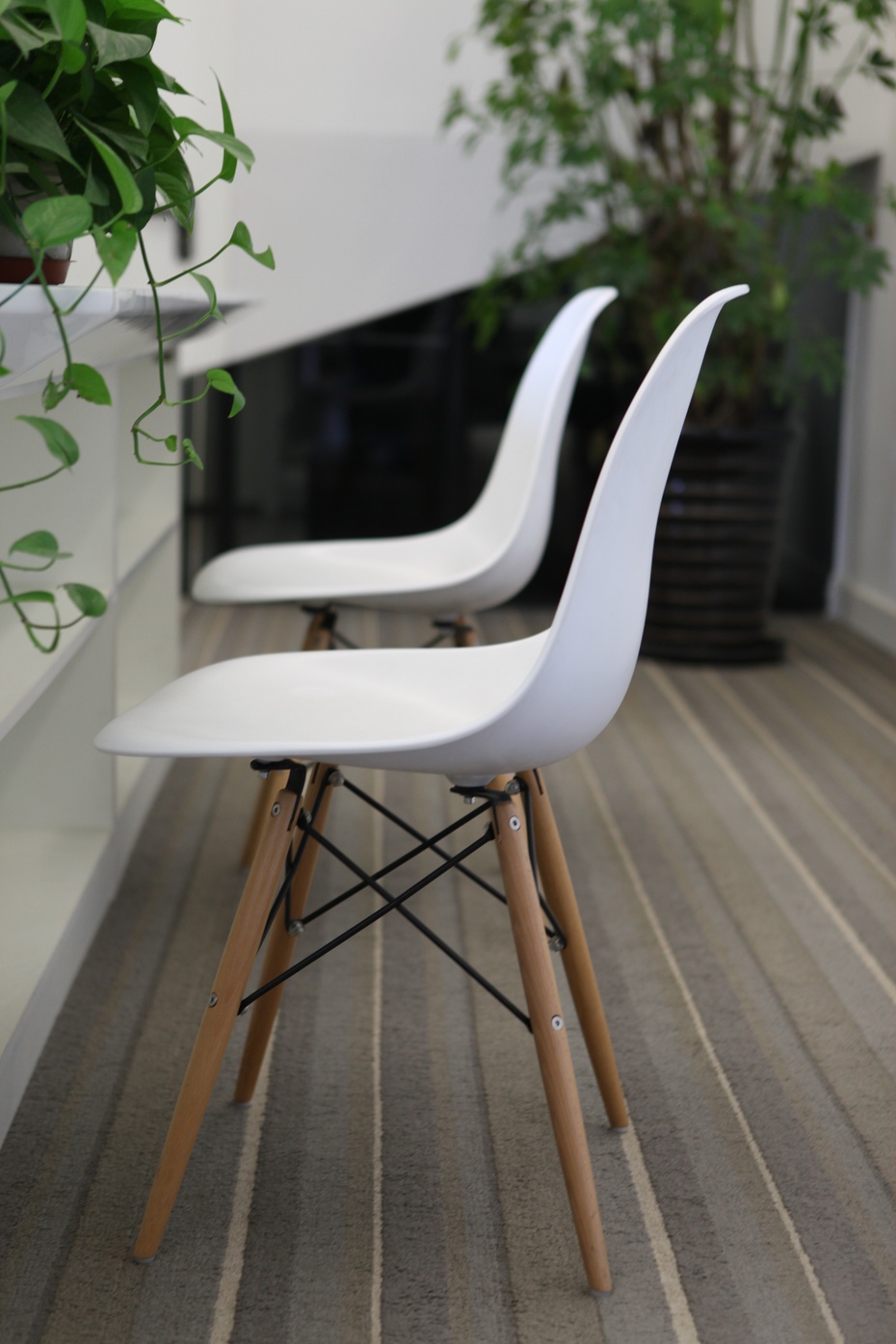 上海辦公室裝修公司綠植擺放設計-第6張圖片-上海古都建筑設計集團 上海辦公室裝修公司綠植擺放設計-第6張圖片-上海古都建筑設計集團