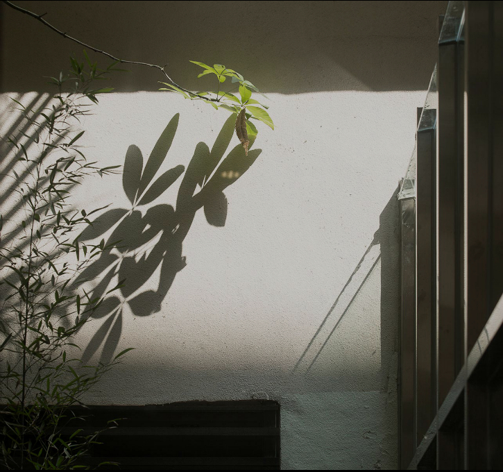 山景風格辦公室裝修效果圖-第10張圖片-上海古都建筑設計集團 山景風格辦公室裝修效果圖-第10張圖片-上海古都建筑設計集團