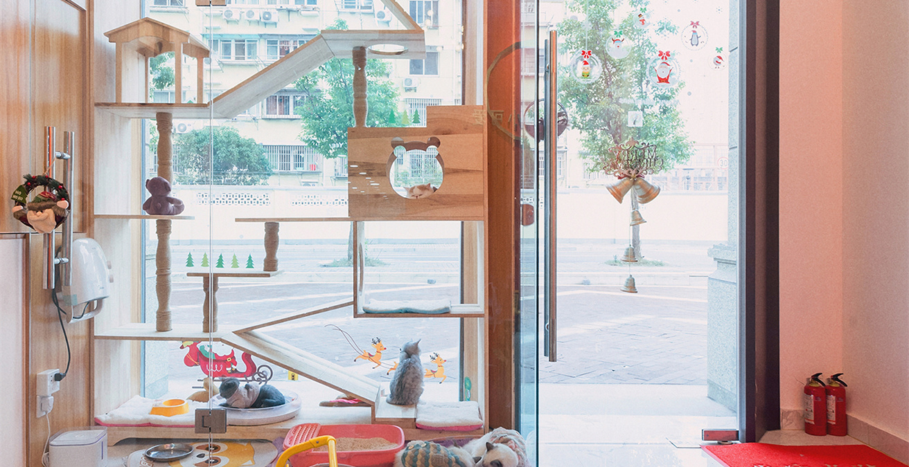 青浦區(qū)小清新寵物店裝修設(shè)計(jì)-第1張圖片-上海古都建筑設(shè)計(jì)集團(tuán) 青浦區(qū)小清新寵物店裝修設(shè)計(jì)-第1張圖片-上海古都建筑設(shè)計(jì)集團(tuán)